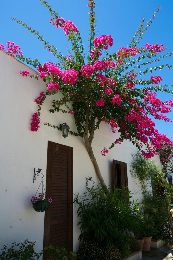 Villa Pampalone - B&B In Dimora Storica Trapani Exterior foto